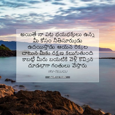 Picture 07 - మలాకీ 4:2 TELIRV - అయితే నా పట్ల - Bible Verse Picture