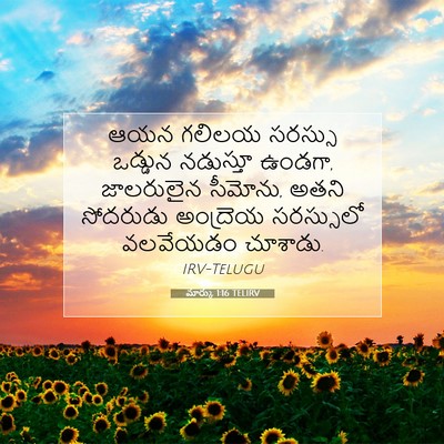 Picture 07 - మార్కు 1:16 TELIRV - ఆయన గలిలయ సరస్సు - Bible Verse Picture