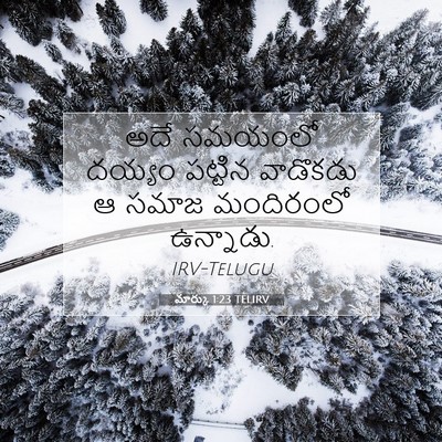 Picture 07 - మార్కు 1:23 TELIRV - అదే సమయంలో దయ్యం - Bible Verse Picture