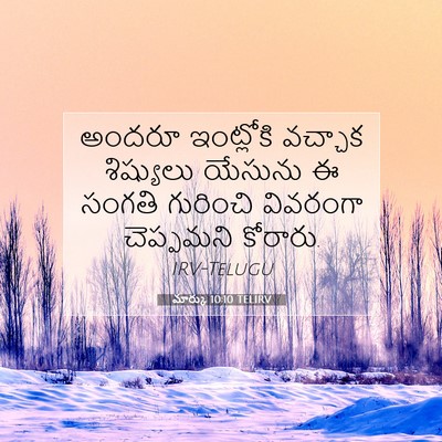 Picture 07 - మార్కు 10:10 TELIRV - అందరూ ఇంట్లోకి - Bible Verse Picture