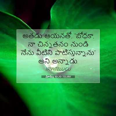 Picture 07 - మార్కు 10:20 TELIRV - అతడు ఆయనతో, “బోధకా, - Bible Verse Picture