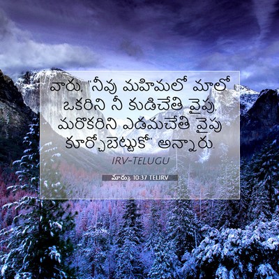 Picture 07 - మార్కు 10:37 TELIRV - వారు, “నీవు మహిమలో - Bible Verse Picture