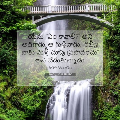 Picture 07 - మార్కు 10:51 TELIRV - యేసు, “ఏం కావాలి?” - Bible Verse Picture