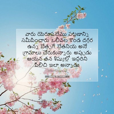 Picture 07 - మార్కు 11:1 TELIRV - వారు యెరూషలేము - Bible Verse Picture