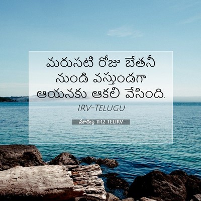 Picture 07 - మార్కు 11:12 TELIRV - మరుసటి రోజు బేతనీ - Bible Verse Picture