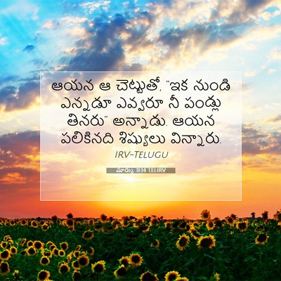 Picture 07 - మార్కు 11:14 TELIRV - ఆయన ఆ చెట్టుతో, “ఇక - Bible Verse Picture