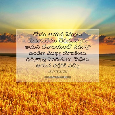 Picture 07 - మార్కు 11:27 TELIRV - యేసు, ఆయన శిష్యులు - Bible Verse Picture