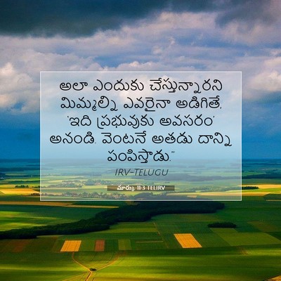Picture 07 - మార్కు 11:3 TELIRV - అలా ఎందుకు - Bible Verse Picture