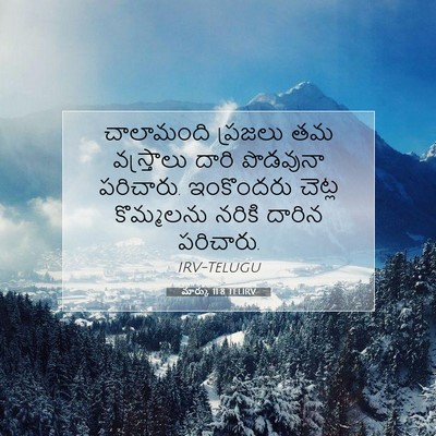 Picture 07 - మార్కు 11:8 TELIRV - చాలామంది ప్రజలు - Bible Verse Picture
