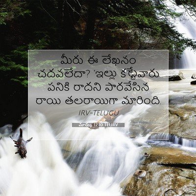 Picture 07 - మార్కు 12:10 TELIRV - మీరు ఈ లేఖనం - Bible Verse Picture