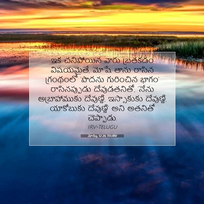 Picture 07 - మార్కు 12:26 TELIRV - ఇక చనిపోయిన వారు - Bible Verse Picture