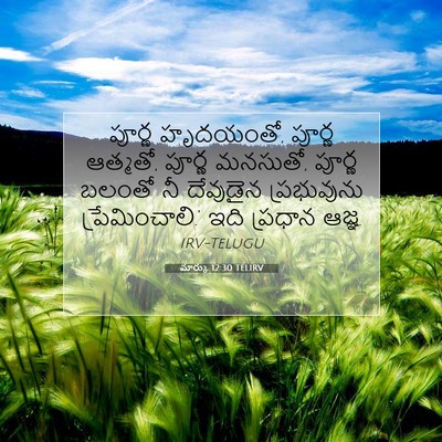 Picture 07 - మార్కు 12:30 TELIRV - పూర్ణ హృదయంతో, - Bible Verse Picture