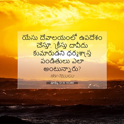 Picture 07 - మార్కు 12:35 TELIRV - యేసు దేవాలయంలో - Bible Verse Picture