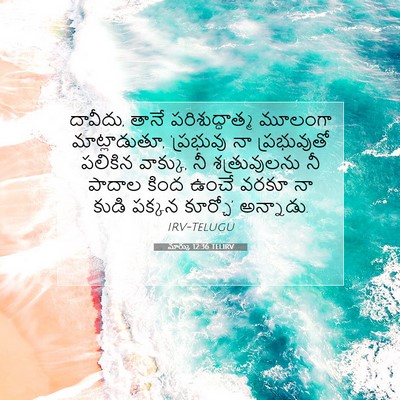 Picture 07 - మార్కు 12:36 TELIRV - దావీదు, తానే - Bible Verse Picture
