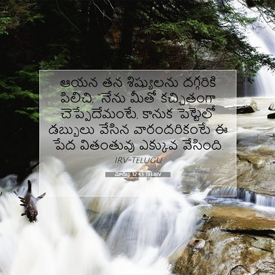 Picture 07 - మార్కు 12:43 TELIRV - ఆయన తన శిష్యులను - Bible Verse Picture