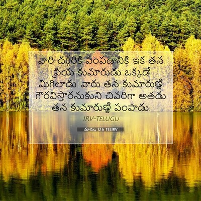 Picture 07 - మార్కు 12:6 TELIRV - వారి దగ్గరికి - Bible Verse Picture
