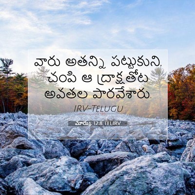 Picture 07 - మార్కు 12:8 TELIRV - వారు అతన్ని - Bible Verse Picture