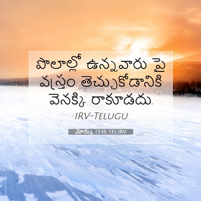 Picture 07 - మార్కు 13:16 TELIRV - పొలాల్లో ఉన్నవారు - Bible Verse Picture