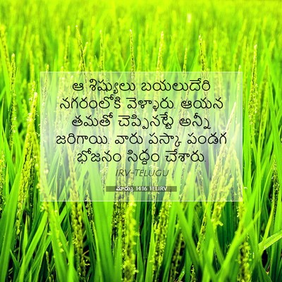 Picture 07 - మార్కు 14:16 TELIRV - ఆ శిష్యులు - Bible Verse Picture