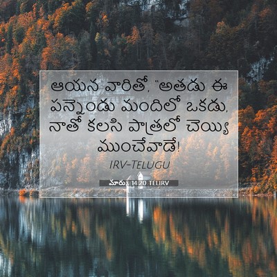 Picture 07 - మార్కు 14:20 TELIRV - ఆయన వారితో, “అతడు ఈ - Bible Verse Picture