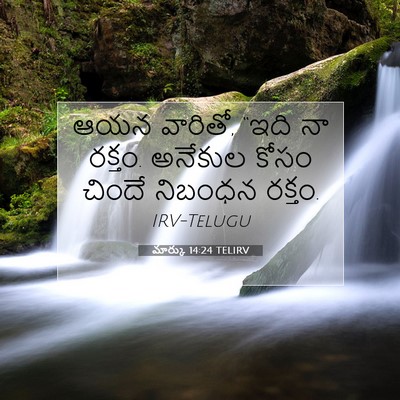 Picture 07 - మార్కు 14:24 TELIRV - ఆయన వారితో, “ఇది నా - Bible Verse Picture