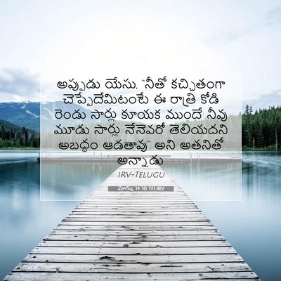 Picture 07 - మార్కు 14:30 TELIRV - అప్పుడు యేసు, - Bible Verse Picture