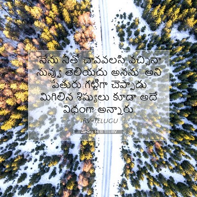 Picture 07 - మార్కు 14:31 TELIRV - “నేను నీతో - Bible Verse Picture