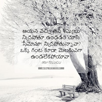 Picture 07 - మార్కు 14:37 TELIRV - ఆయన వచ్చి తన - Bible Verse Picture