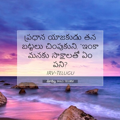 Picture 07 - మార్కు 14:63 TELIRV - ప్రధాన యాజకుడు తన - Bible Verse Picture