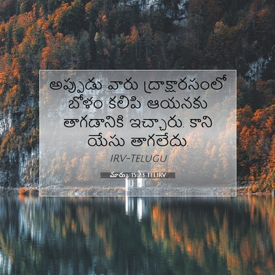 Picture 07 - మార్కు 15:23 TELIRV - అప్పుడు వారు - Bible Verse Picture