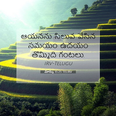 Picture 07 - మార్కు 15:25 TELIRV - ఆయనను సిలువ వేసిన - Bible Verse Picture