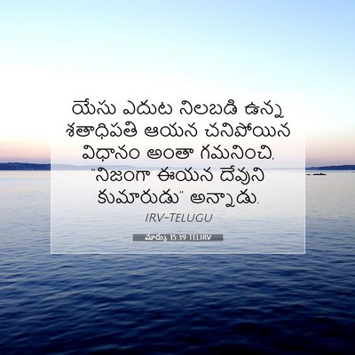 Picture 07 - మార్కు 15:39 TELIRV - యేసు ఎదుట నిలబడి - Bible Verse Picture