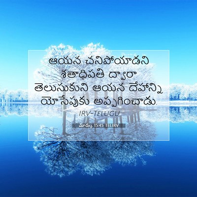 Picture 07 - మార్కు 15:45 TELIRV - ఆయన చనిపోయాడని - Bible Verse Picture