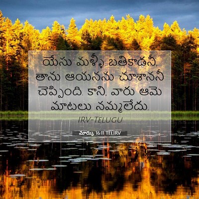 Picture 07 - మార్కు 16:11 TELIRV - యేసు మళ్ళీ - Bible Verse Picture