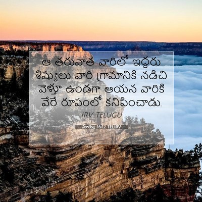 Picture 07 - మార్కు 16:12 TELIRV - ఆ తరువాత వారిలో - Bible Verse Picture