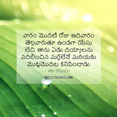 Picture 07 - మార్కు 16:9 TELIRV - వారం మొదటి రోజు - Bible Verse Picture