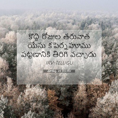 Picture 07 - మార్కు 2:1 TELIRV - కొద్ది రోజుల - Bible Verse Picture