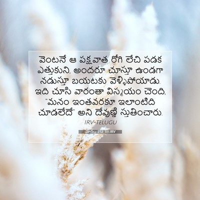 Picture 07 - మార్కు 2:12 TELIRV - వెంటనే ఆ పక్షవాత - Bible Verse Picture
