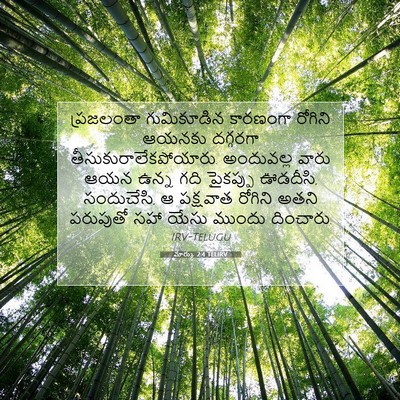 Picture 07 - మార్కు 2:4 TELIRV - ప్రజలంతా - Bible Verse Picture