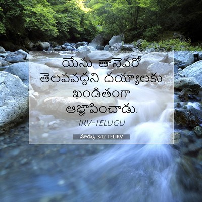 Picture 07 - మార్కు 3:12 TELIRV - యేసు, తానెవరో - Bible Verse Picture
