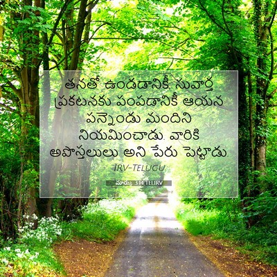 Picture 07 - మార్కు 3:14 TELIRV - తనతో ఉండడానికీ, - Bible Verse Picture