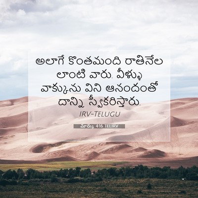 Picture 07 - మార్కు 4:16 TELIRV - అలాగే కొంతమంది - Bible Verse Picture
