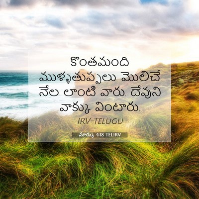 Picture 07 - మార్కు 4:18 TELIRV - కొంతమంది - Bible Verse Picture