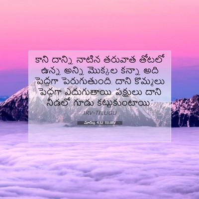 Picture 07 - మార్కు 4:32 TELIRV - కాని దాన్ని నాటిన - Bible Verse Picture