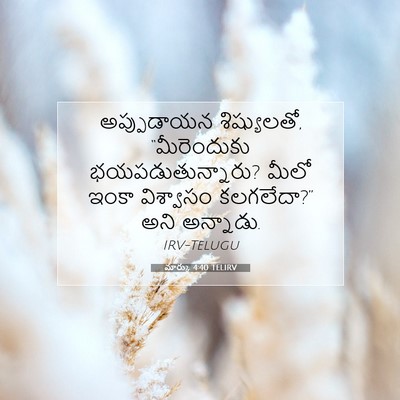 Picture 07 - మార్కు 4:40 TELIRV - అప్పుడాయన - Bible Verse Picture