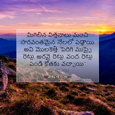 Picture 07 - మార్కు 4:8 TELIRV - మిగిలిన విత్తనాలు - Bible Verse Picture