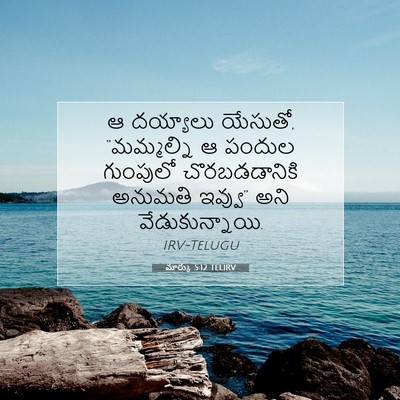 Picture 07 - మార్కు 5:12 TELIRV - ఆ దయ్యాలు యేసుతో, - Bible Verse Picture