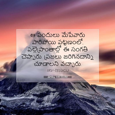 Picture 07 - మార్కు 5:14 TELIRV - ఆ పందులు మేపేవారు - Bible Verse Picture