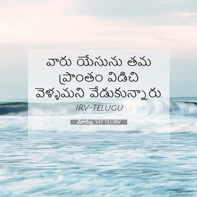 Picture 07 - మార్కు 5:17 TELIRV - వారు యేసును తమ - Bible Verse Picture