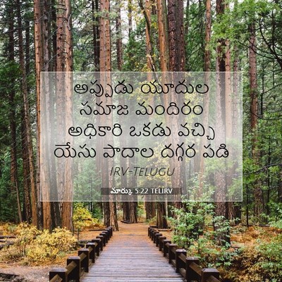 Picture 07 - మార్కు 5:22 TELIRV - అప్పుడు యూదుల - Bible Verse Picture
